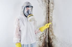 Best Mold Prevention Services  in Georgetown, CT